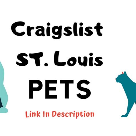 Stl pets craigslist. Things To Know About Stl pets craigslist. 